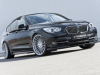 Hamann BMW 5-Series GT 2010 stickers 579928