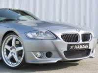 Hamann BMW Z4 M Coupe 2006 Mouse Pad 580067