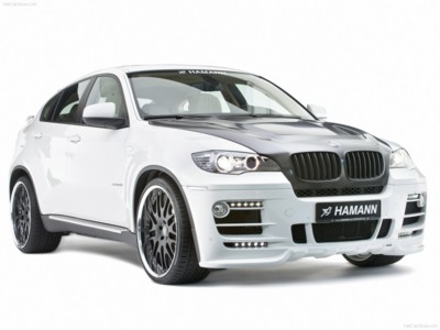 Hamann BMW X6 2009 stickers 580116