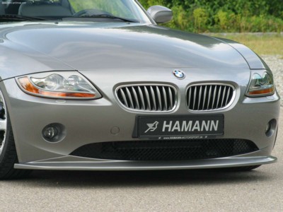 Hamann BMW Z4 2004 poster