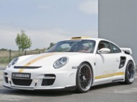 Hamann Porsche 911 Turbo Stallion 2008 stickers 580395