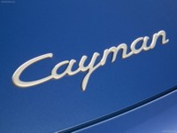 Porsche Cayman 2007 Longsleeve T-shirt #581450