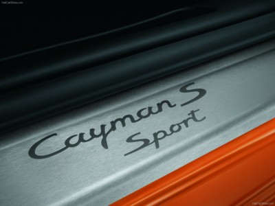 Porsche Cayman S Sport 2009 poster