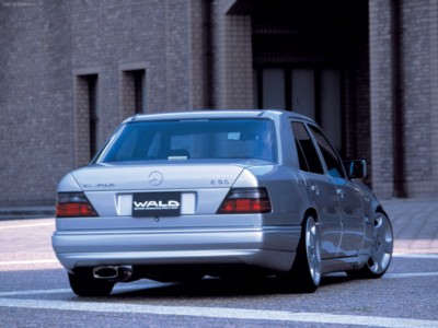 Wald Mercedes-Benz W124 E 1999 poster