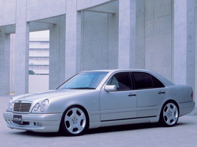 Wald Mercedes-Benz E-Class 1999 Poster 583196