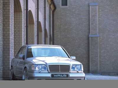 Wald Mercedes-Benz W124 E 1999 tote bag