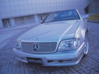 Wald Mercedes-Benz SL-Class R129 1999 stickers 583597