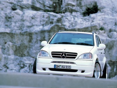 Wald Mercedes-Benz M-Class 1999 poster