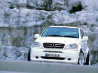 Wald Mercedes-Benz M-Class 1999 stickers 583640