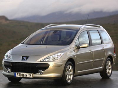 Peugeot 307 SW 2005 Poster with Hanger