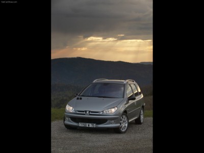 Peugeot 206 SW HDi 2004 canvas poster