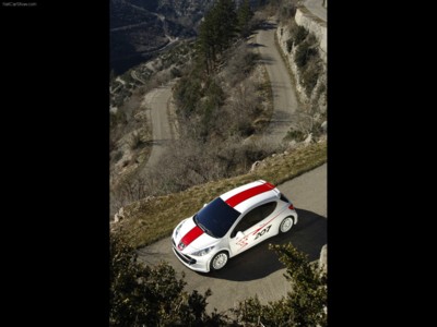 Peugeot 207 RCup Concept 2006 tote bag