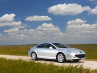 Peugeot 407 Coupe 2010 Poster 584594