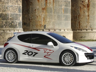 Peugeot 207 RCup Concept 2006 calendar
