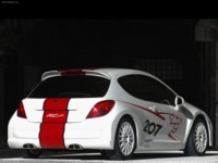 Peugeot 207 RCup Concept 2006 stickers 584811