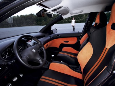 Peugeot 206 SW Concept 2001 pillow