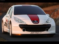 Peugeot 207 RCup Concept 2006 hoodie #585787