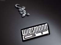 Wiesmann GT 2006 hoodie #586886