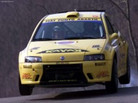 Fiat Punto Rally 2003 Poster 594888
