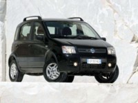 Fiat Panda 4x4 2004 stickers 595468