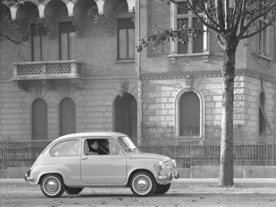 Fiat 600 1955 hoodie