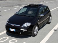 Fiat Punto Evo 2010 Poster 596691