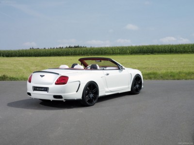 Mansory Le Mansory Convertible 2008 tote bag #NC164185