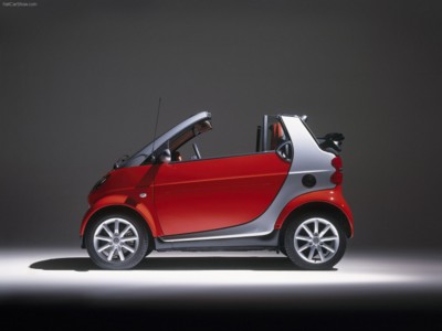 Smart fortwo cabrio 2005 hoodie