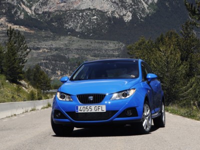 Seat Ibiza SportCoupe 2009 wooden framed poster
