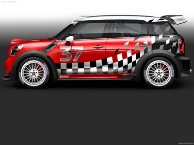 Mini WRC 2011 canvas poster