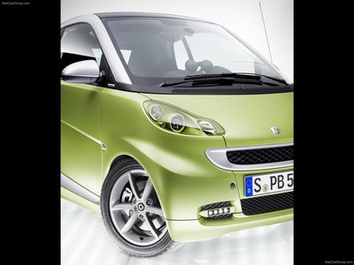 Smart fortwo 2011 stickers 684677