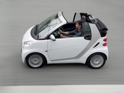Smart fortwo 2011 puzzle 684742
