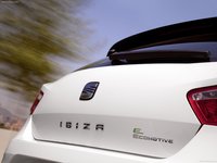 Seat Ibiza Ecomotive 2011 stickers 684989