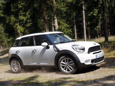 Mini Countryman 2011 puzzle 685118