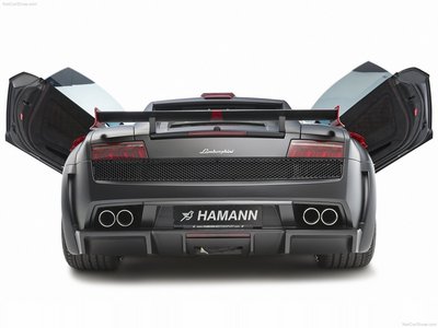 Hamann Victory II 2010 wooden framed poster