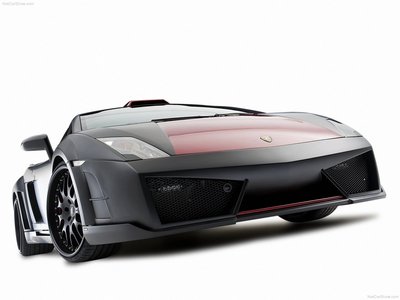Hamann Victory II 2010 puzzle 690452
