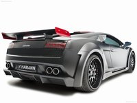 Hamann Victory II 2010 Poster 690476