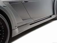 Hamann Victory II 2010 Poster 690478