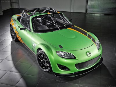 Mazda MX-5 GT Race Car 2011 Poster with Hanger