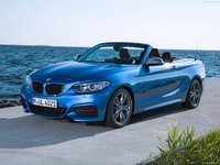 BMW M235i Convertible 2015 stickers 7188