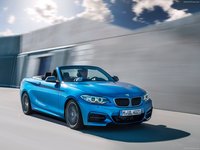 BMW M235i Convertible 2015 stickers 7193