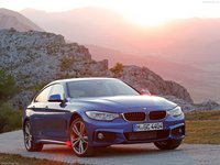 BMW 428i Gran Coupe M Sport 2015 stickers 7237
