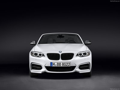BMW 2 Series Convertible M Performance Parts 2015 calendar