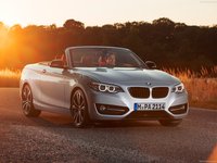 BMW 2 Series Convertible 2015 stickers 7268