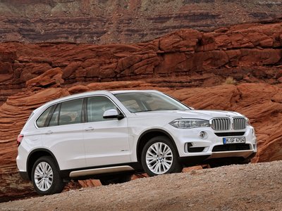 BMW X5 2014 Poster with Hanger