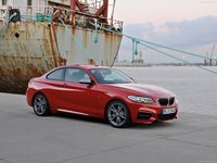BMW M235i Coupe 2014 Poster 7390