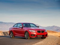 BMW M235i Coupe 2014 Poster 7394