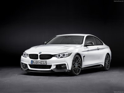 BMW 4 Series Coupe M Performance Parts 2014 pillow