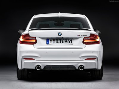 BMW 2 Series Coupe with M Performance Parts 2014 Poster with Hanger