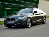 BMW 2 Series Coupe 2014 Poster 7490